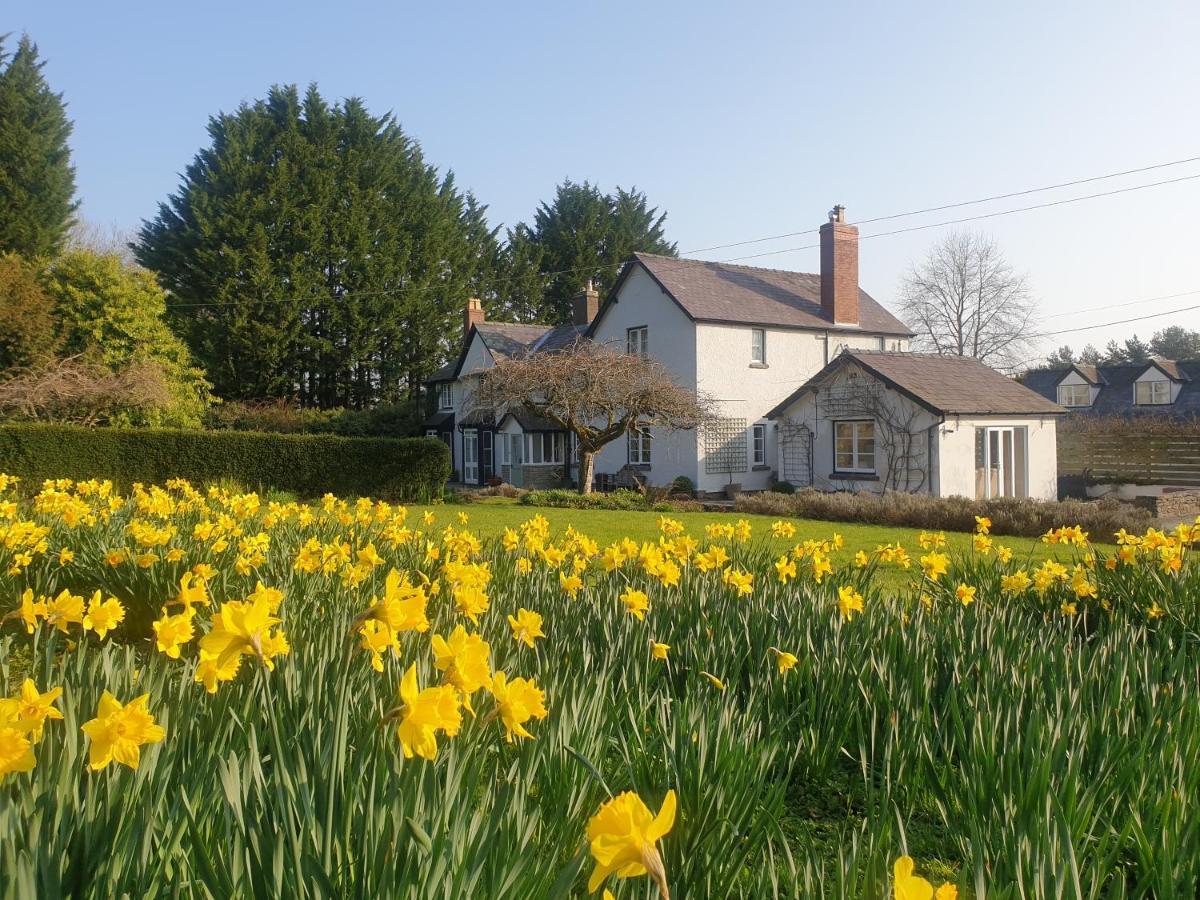 Leintwardine Lower House B&B Adforton מראה חיצוני תמונה